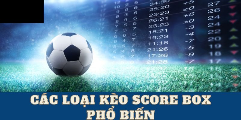 Tổng hợp một số loại kèo cược score box thường thấy nhất