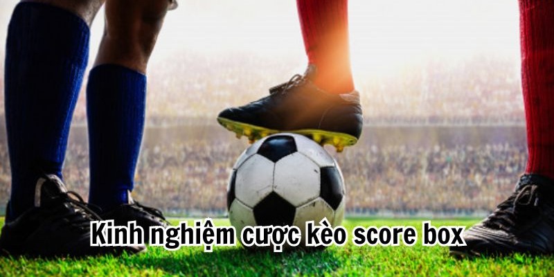 Cách chơi kèo Score box hiệu quả nhất từ những cao thủ cá cược